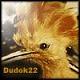 ������ ��� Dudok22