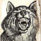 ������ ��� Werewolf