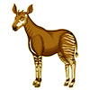 okapi